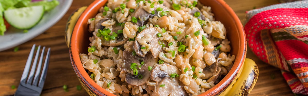 CATEGORIES_1200X375_PASTASYARROCES